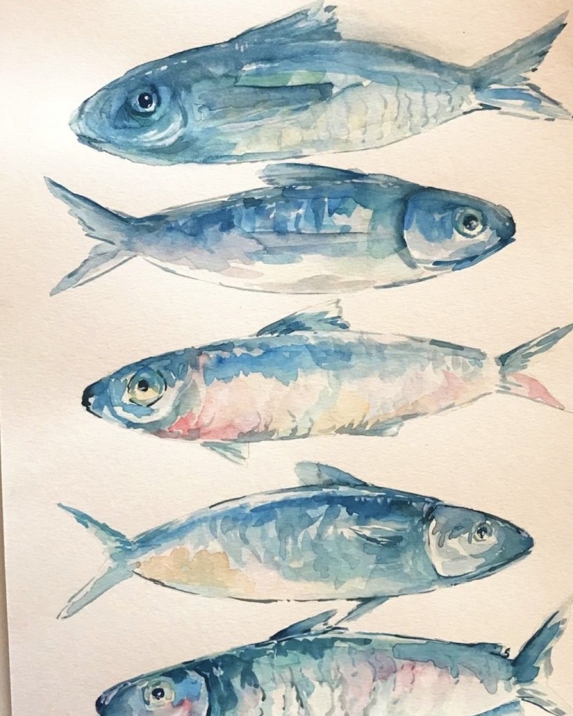 Acuarela de sardinas pintada en un taller de Ambrosia Espacio Creativo